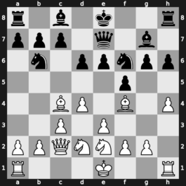 Hoogovens Blitz 1998 – Round 10 – Adams, Michael – 1/2-1/2 – Salov, Valery – G13